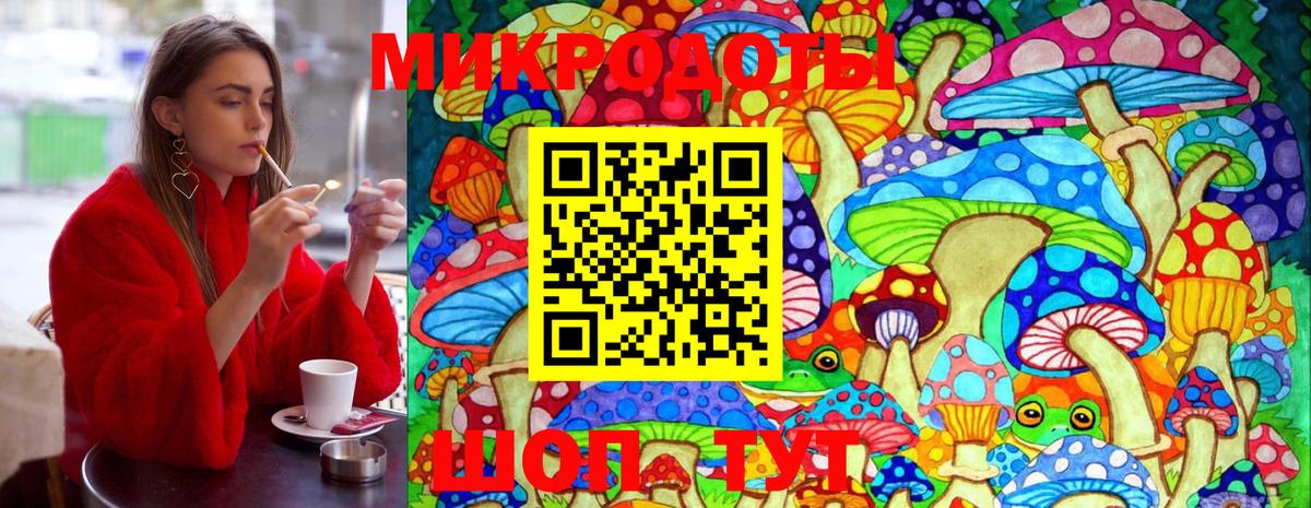 Псилоцибиновые грибы Psilocybine cubensis Мурманск