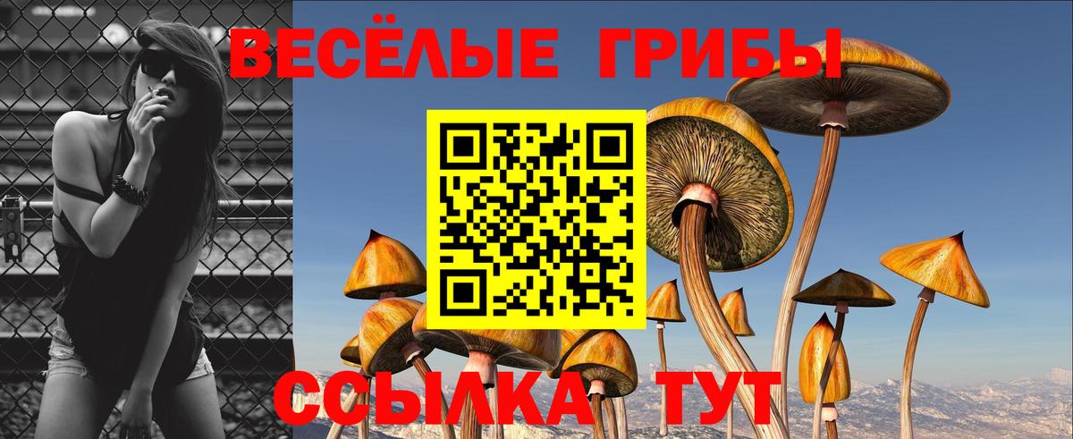 Псилоцибиновые грибы Cubensis  Мурманск 