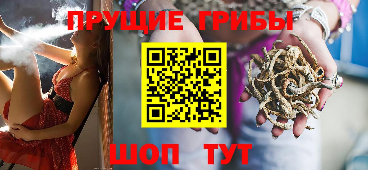 Псилоцибиновые грибы Cubensis Мурманск