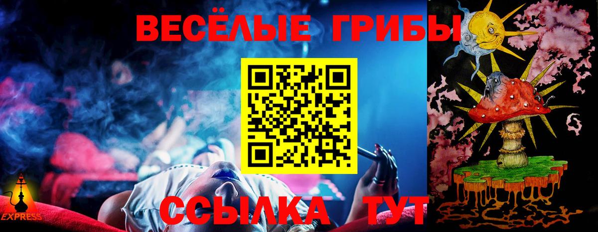 Галлюциногенные грибы Мурманск
